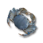 河蟹
