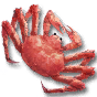 帝王蟹